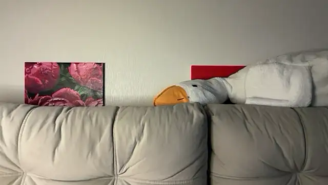 Snapshot of StellarAlice chatting on 28, 5, 2026 StellarAlice online show from 28, 5, 2026