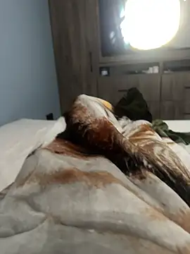 Snapshot of Xarkomm chatting on 28, 2, 2026 Xarkomm online show from 28, 2, 2026