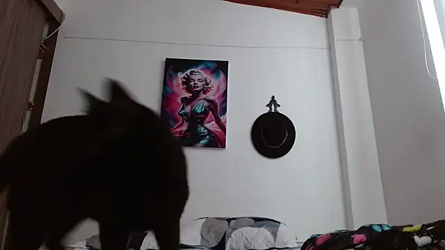 Crystal Star  online show from 7, 3, 2026