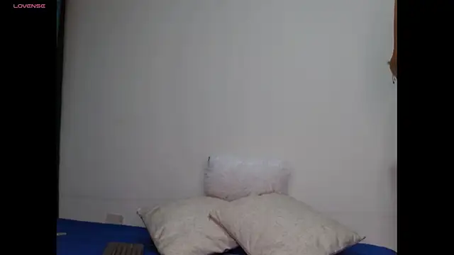 Snapshot of Gia_Lee chatting on 20, 11, 2025 Gia Lee online show from 20, 11, 2025