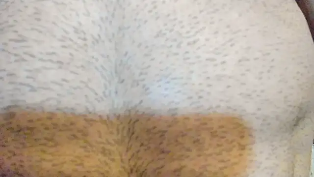 bretman narcissus online show from 18, 2, 2026