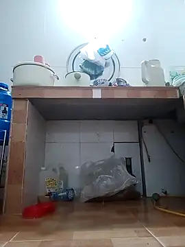 July-Asian online show from 5, 3, 2026