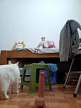 July-Asian online show from 1, 12, 2025