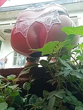 July-Asian online show from 24, 5, 2026