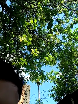 novinho safado   online show from 5, 12, 2025