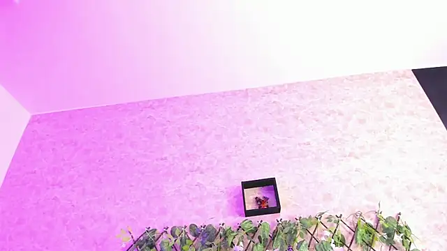 ImEmily444 online show from 4, 10, 2025