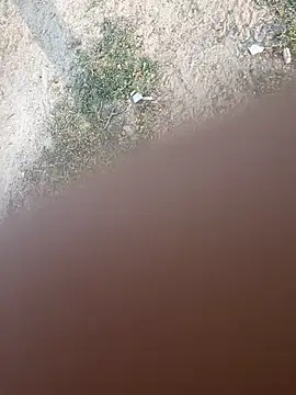 Desiandaj online show from 26, 11, 2025