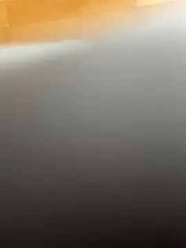 Snapshot of -Styleto chatting on 24, 11, 2025 -Styleto online show from 24, 11, 2025