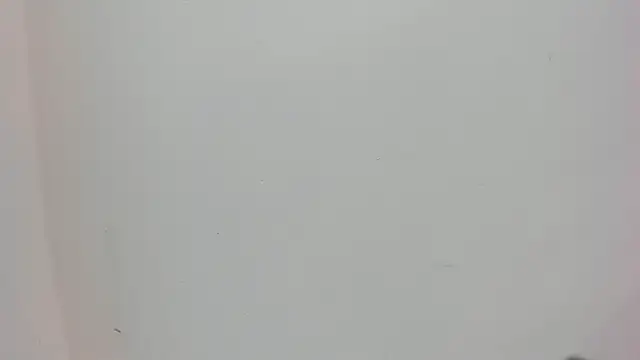 Snapshot of Saammy_17 chatting on 3, 10, 2025 Saammy 17 online show from 3, 10, 2025