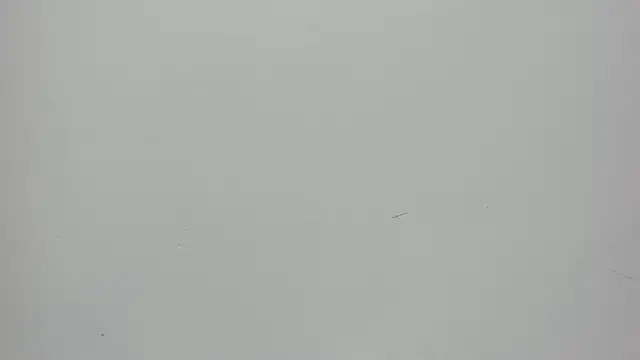 Snapshot of Saammy_17 chatting on 27, 9, 2025 Saammy 17 online show from 27, 9, 2025