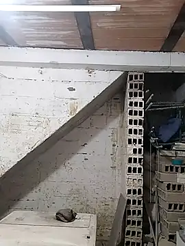 hoteder online show from 7, 10, 2025