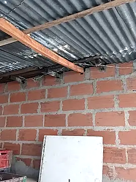 hoteder online show from 2, 12, 2025