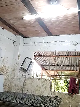 hoteder online show from 29, 10, 2025