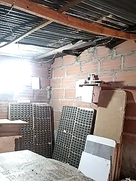 hoteder online show from 14, 1, 2026