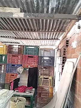 hoteder online show from 10, 2, 2026