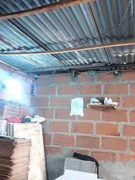 hoteder online show from 17, 12, 2025