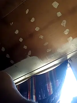 lucho2328 online show from 12, 11, 2025