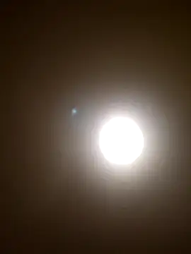 Snapshot of svenni2525 chatting on 1, 12, 2025 svenni2525 online show from 1, 12, 2025