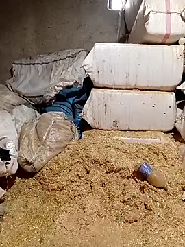 ezgi2545 online show from 2, 4, 2026