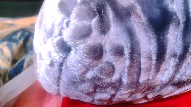 Sexy PureFire online show from 5, 11, 2025