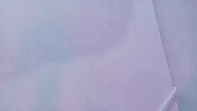 Lizbeth Rouse online show from 29, 11, 2025