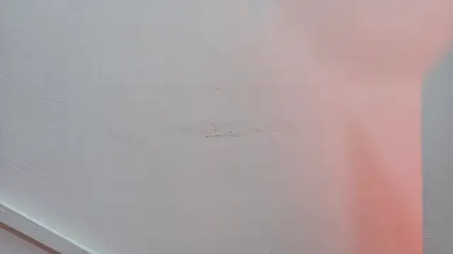 Lizbeth Rouse online show from 24, 10, 2025