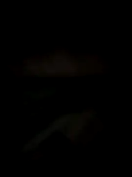 Lizbeth Rouse online show from 14, 12, 2025