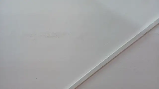 Lizbeth Rouse online show from 26, 10, 2025