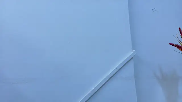 Lizbeth Rouse online show from 6, 11, 2025