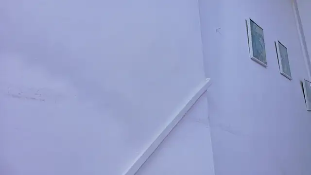 Lizbeth Rouse online show from 8, 11, 2025