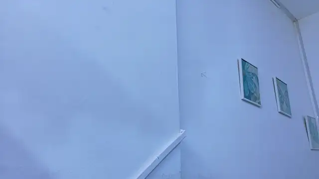 Lizbeth Rouse online show from 10, 11, 2025