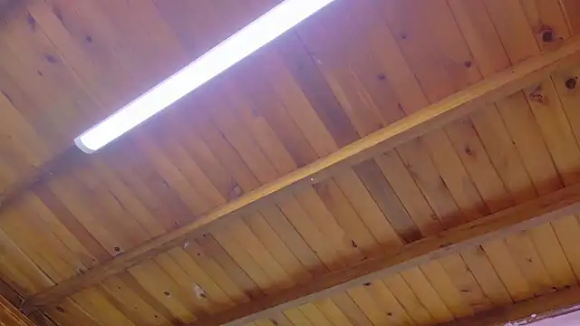 Lizbeth Rouse online show from 13, 1, 2026