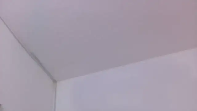 Lizbeth Rouse online show from 30, 11, 2025