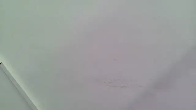 Lizbeth Rouse online show from 28, 9, 2025