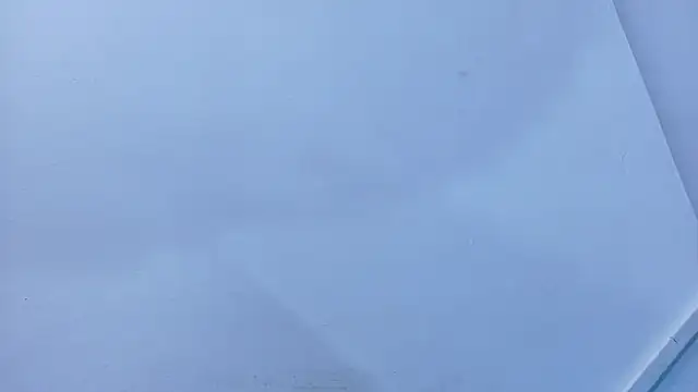 Lizbeth Rouse online show from 9, 11, 2025