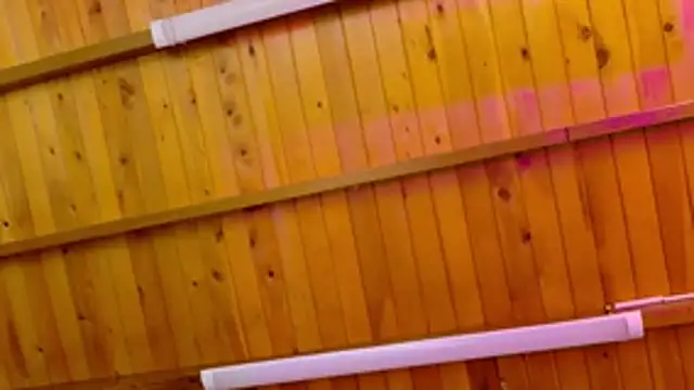 Lizbeth Rouse online show from 12, 1, 2026