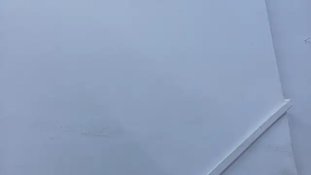 Lizbeth Rouse online show from 2, 11, 2025