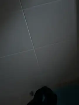 Novinho16cmz online show from 3, 11, 2025