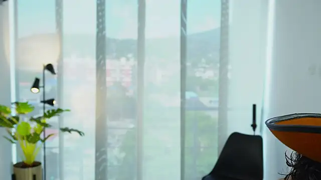 Timmyshy  online show from 31, 10, 2025