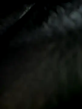  JessyRey  online show from 11, 9, 2025