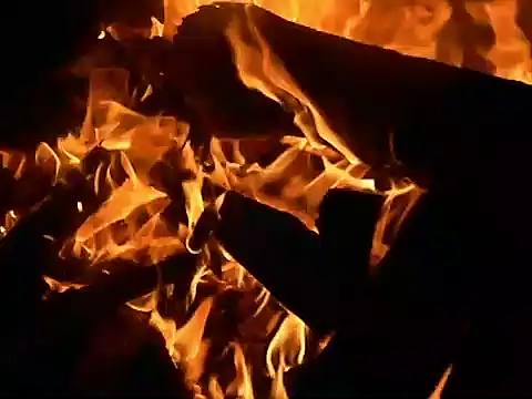 parca13 online show from 12, 11, 2025