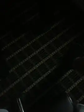 Dallasbest214 online show from 7, 2, 2026