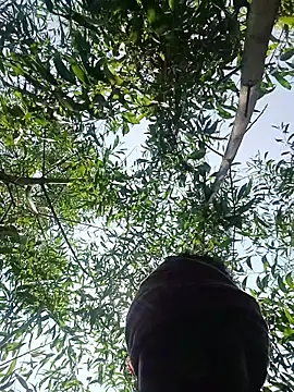 96Rohon online show from 27, 3, 2026