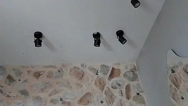 VenusBlazer online show from 28, 2, 2026