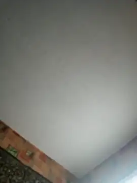 Snapshot of Romashka33011 chatting on 29, 10, 2025 Romashka33011 online show from 29, 10, 2025