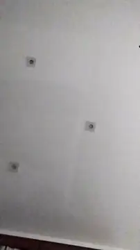 PearlingBunkbed online show from 27, 11, 2025