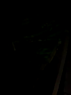 sr dias online show from 13, 11, 2025