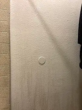 mitch kamm online show from 16, 11, 2025