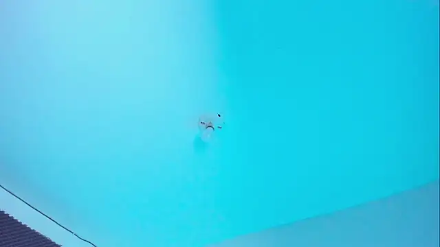 Ellope  online show from 14, 11, 2025