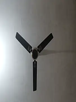 NoxiousFilename online show from 10, 11, 2025